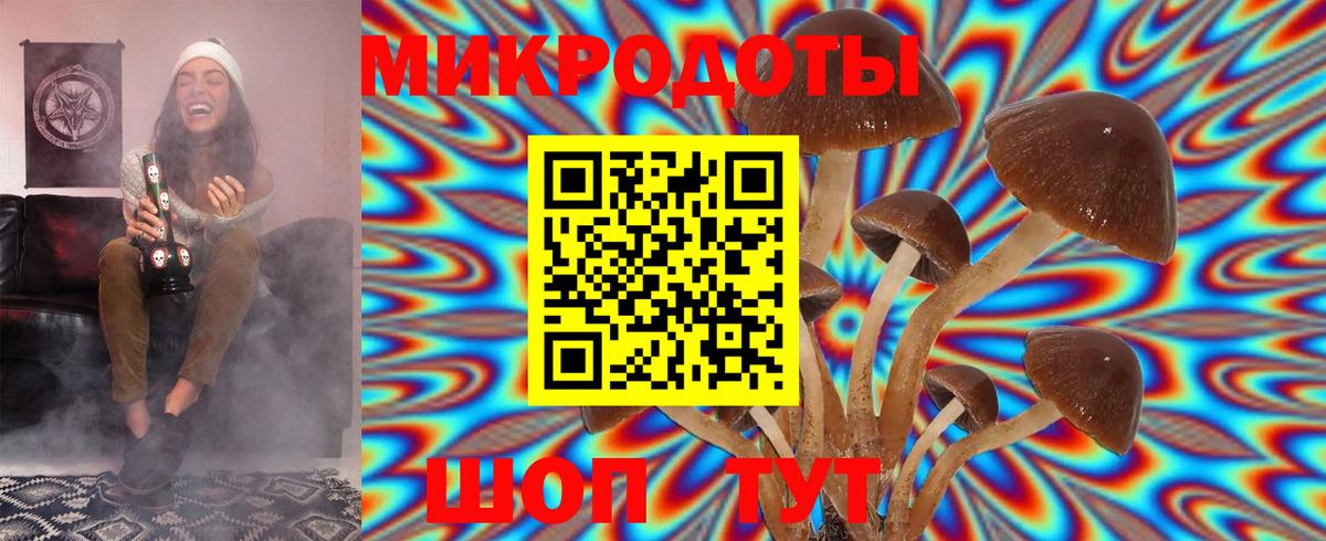 Псилоцибиновые грибы прущие грибы  Вход с VPN  Псилоцибиновые грибы MAGIC MUSHROOMS  Тавда 