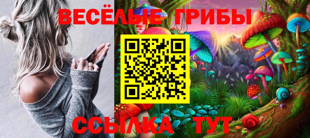 Псилоцибиновые грибы ЛСД Тавда