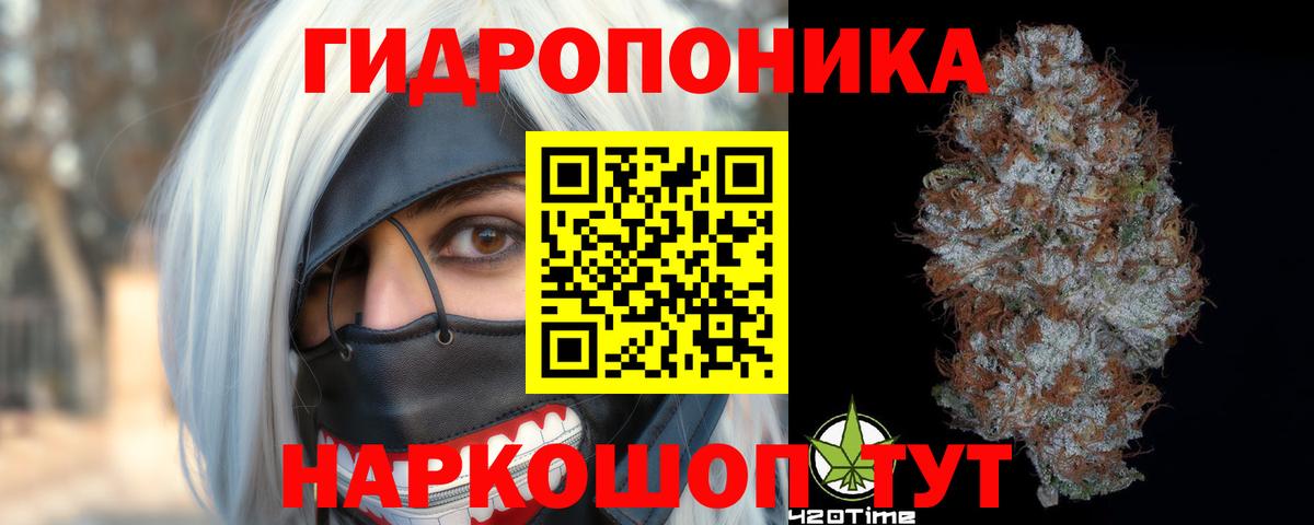 Бошки марихуана Bruce Banner Тавда